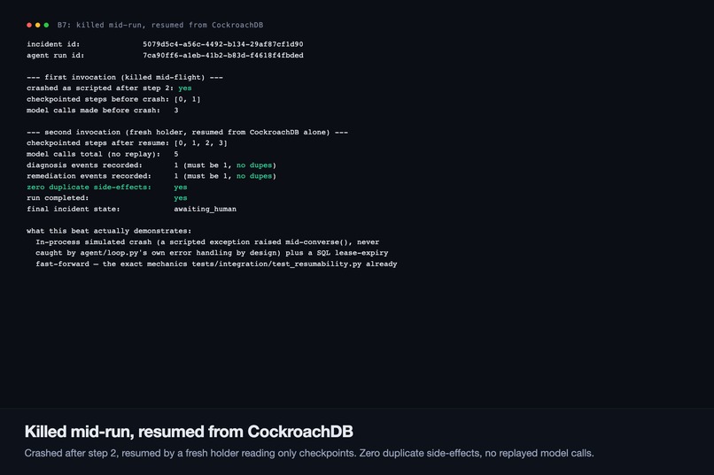 DejaView – screenshot 6