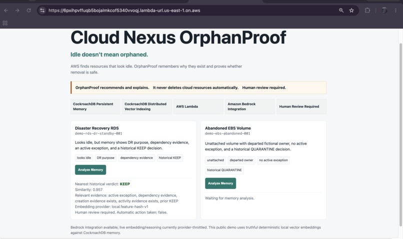 Cloud Nexus OrphanProof – screenshot 3