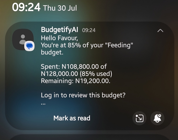 Budgetify AI  – screenshot 5