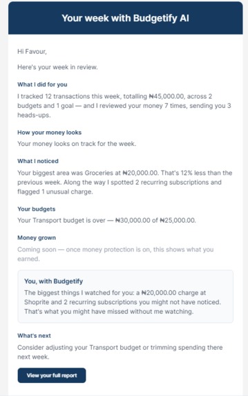 Budgetify AI  – screenshot 5