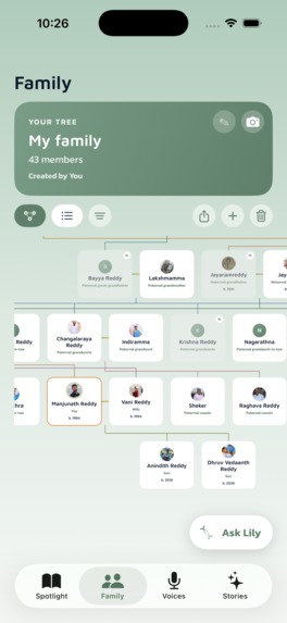 Kinlily – screenshot 9