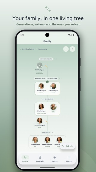Kinlily – screenshot 3
