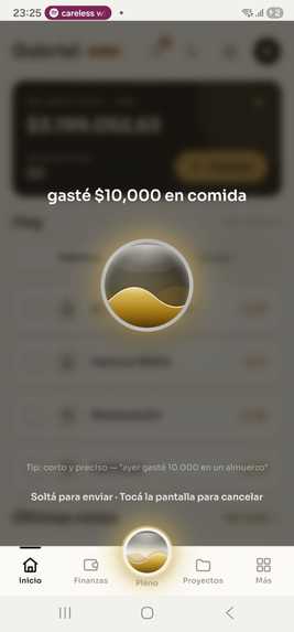 PLENO APP – screenshot 4