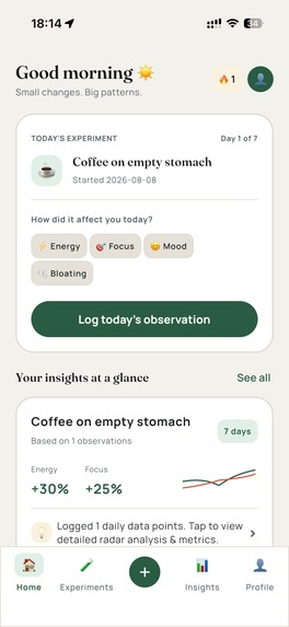 Patterns: Experiment.Observe.Analyse – screenshot 14