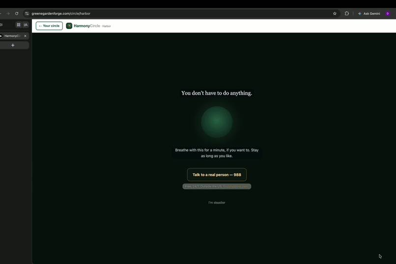 HarmonyCircle – screenshot 1