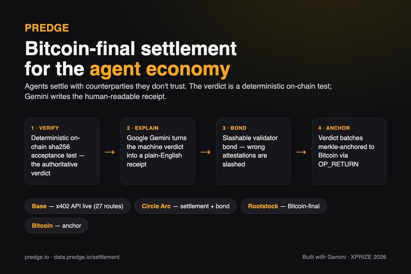 PREDGE – screenshot 1