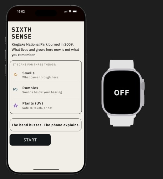 SIXTH SENSE – screenshot 1