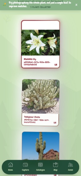 Memoflora – screenshot 1