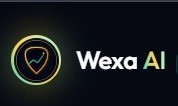 Wexa AI – screenshot 1