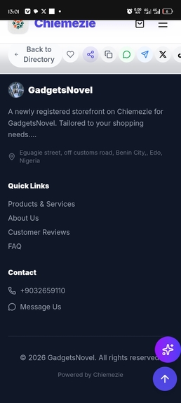 Chiemezie – screenshot 3