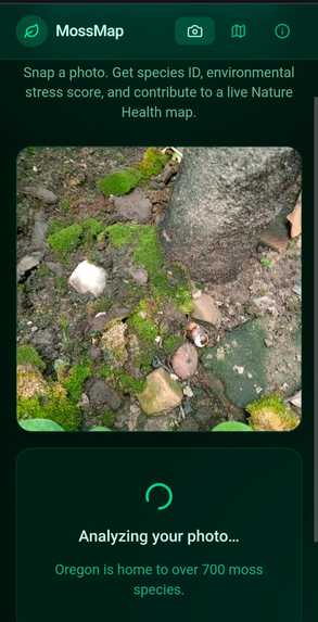 mossmap  – screenshot 5