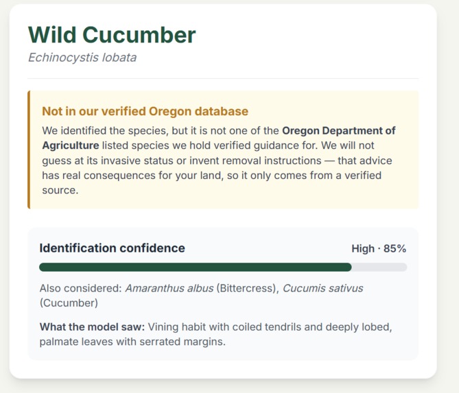 EcoScan – screenshot 2