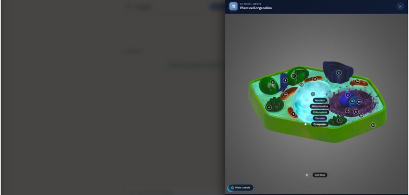 Acazen – screenshot 6