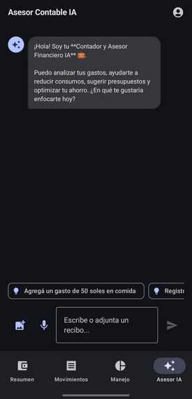 Contador IA – screenshot 4