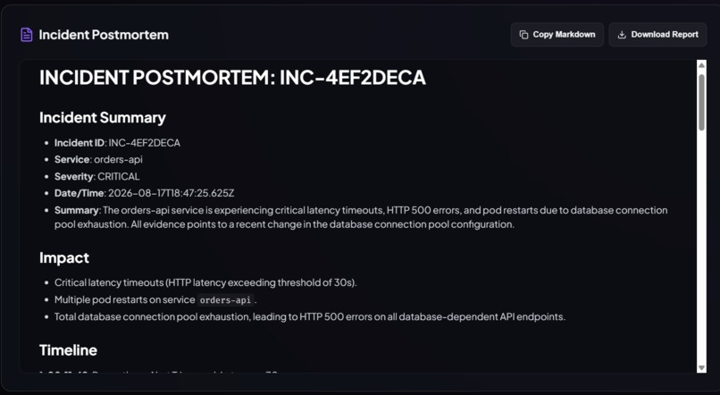 RootLense – screenshot 1
