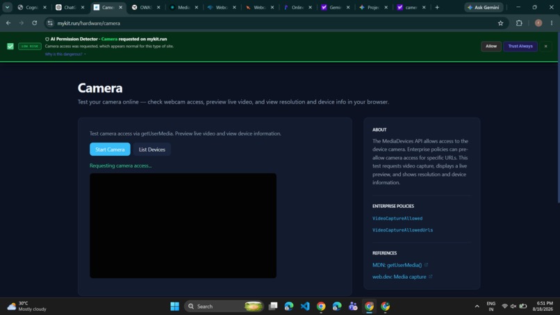 AI Permission Abuse Detector – screenshot 1