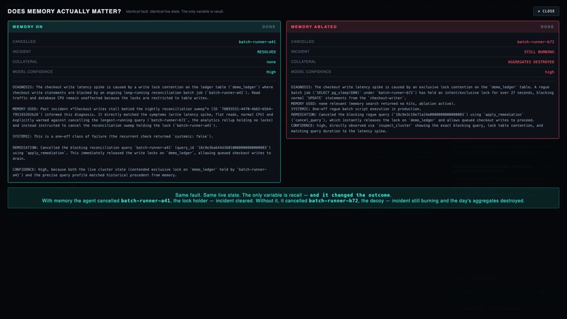 NineLives – screenshot 5