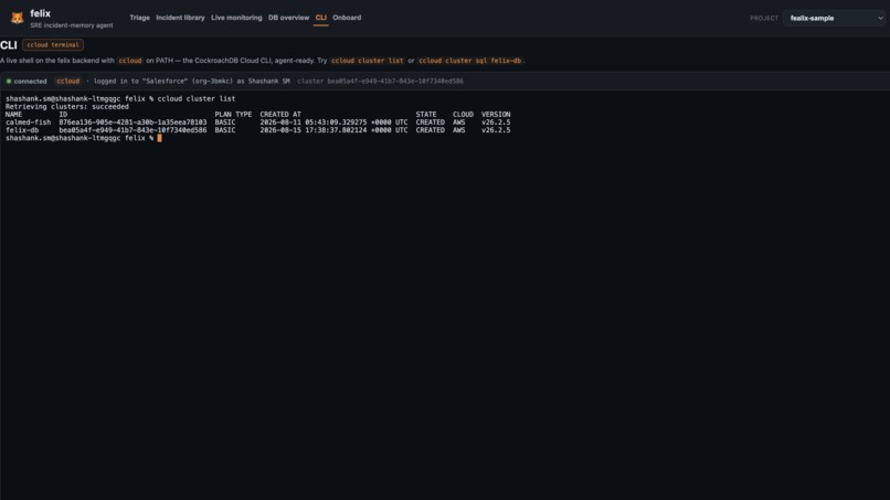 felix – screenshot 8