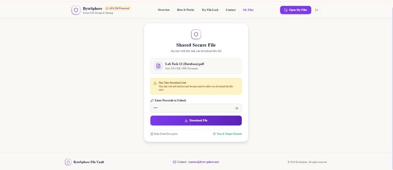 ByteSphere File Vault – screenshot 10