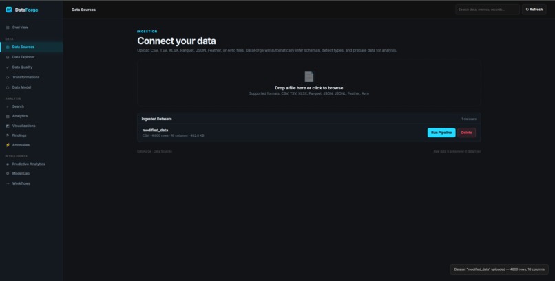 DataForge – screenshot 5