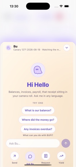 BUFI: Financial Workspace OS – screenshot 4