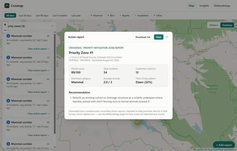 Crossings – screenshot 3