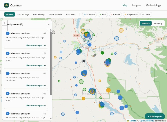 Crossings – screenshot 7