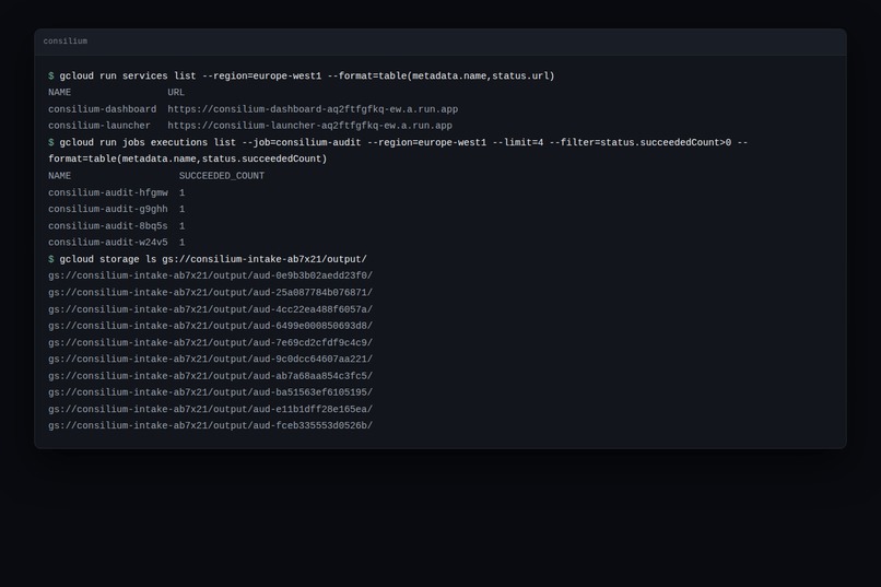 Consilium – screenshot 6