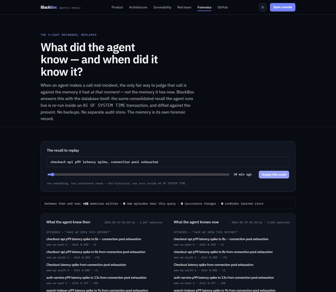 BlackBox – screenshot 3