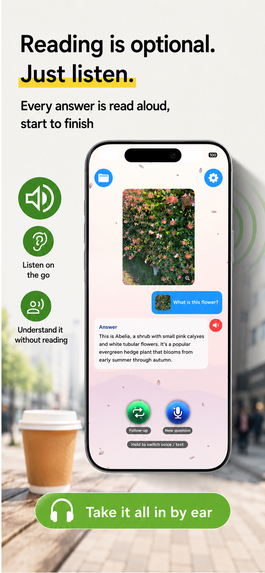 Curio Camera – screenshot 2