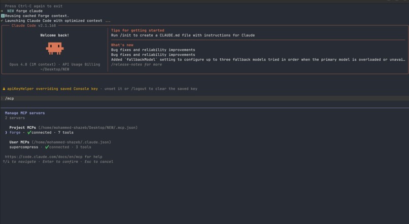 Forge  – screenshot 6