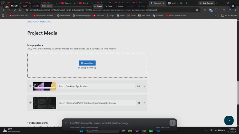 Patch – screenshot 3