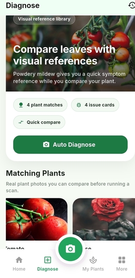 Chlora – screenshot 3