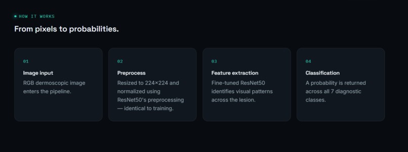 SkinSight AI – screenshot 8