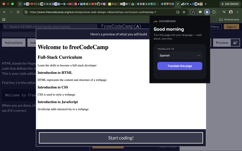 Voice Bridge – screenshot 1
