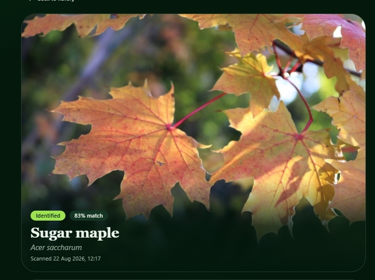 plant lens – screenshot 3