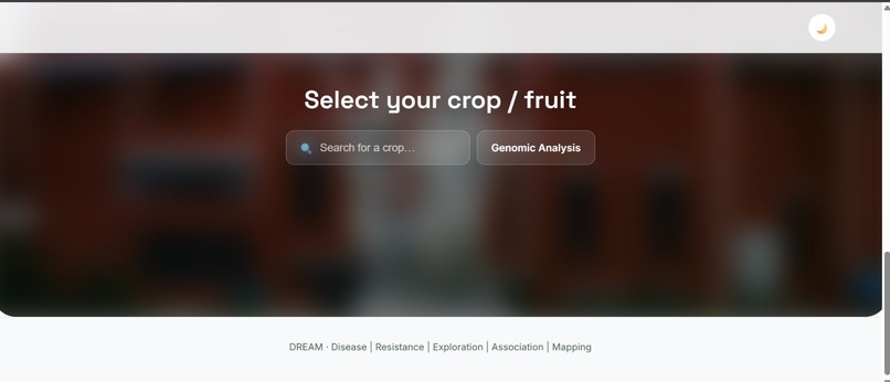 DREAM – screenshot 1