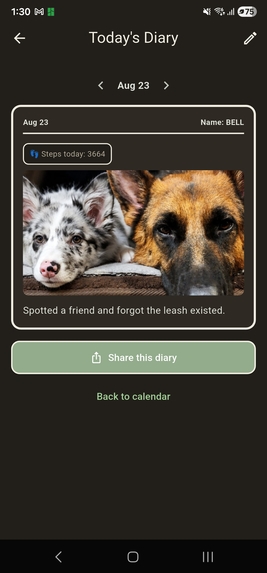 Pet Walk Diary – screenshot 4