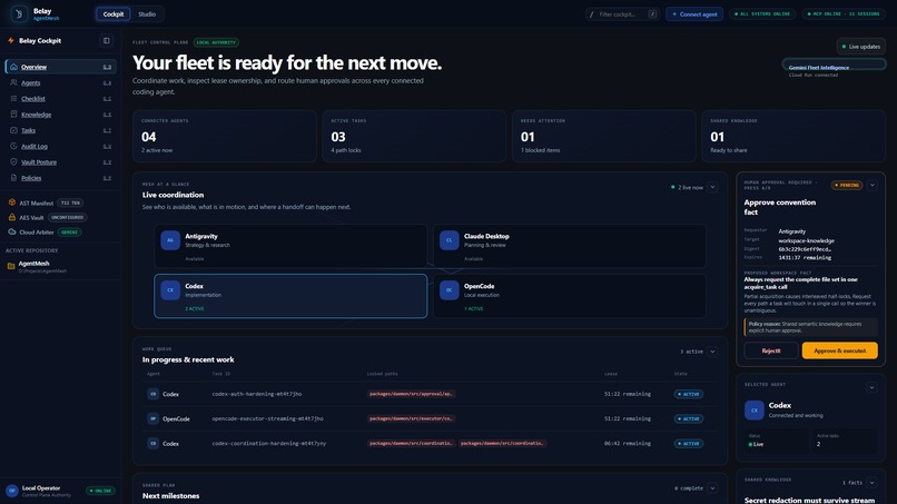 Belay – screenshot 5
