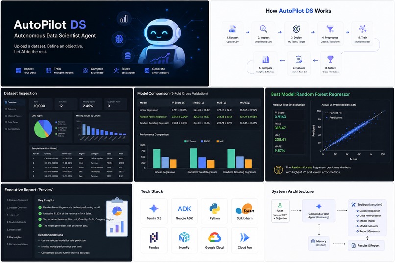 AutoPilot DS — Autonomous Data Scientist Agent – screenshot 1
