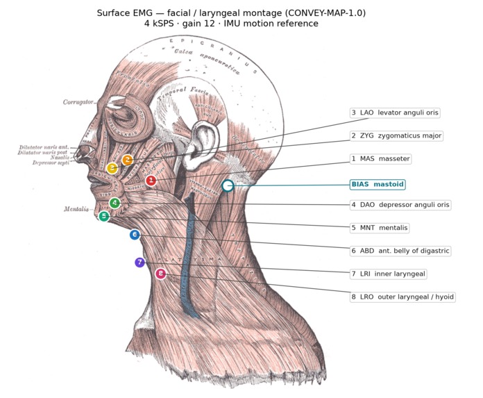 CONVEY – screenshot 4