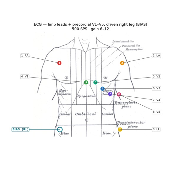 CONVEY – screenshot 5