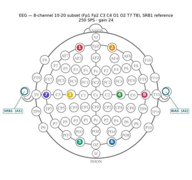 CONVEY – screenshot 6