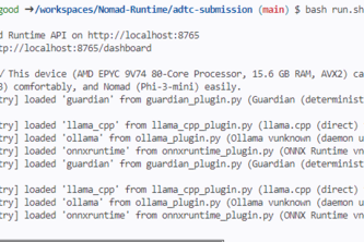 Nomad Runtime