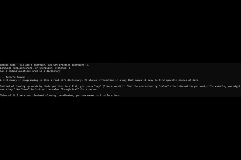 Offline Shona AI Coding Tutor – screenshot 3