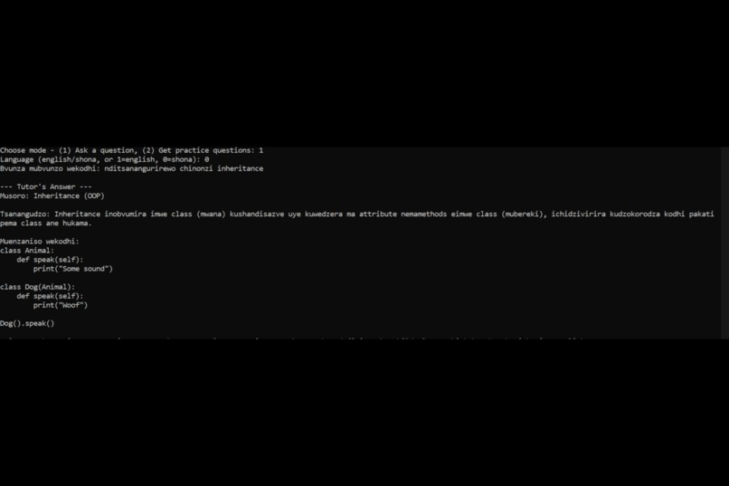 Offline Shona AI Coding Tutor – screenshot 7