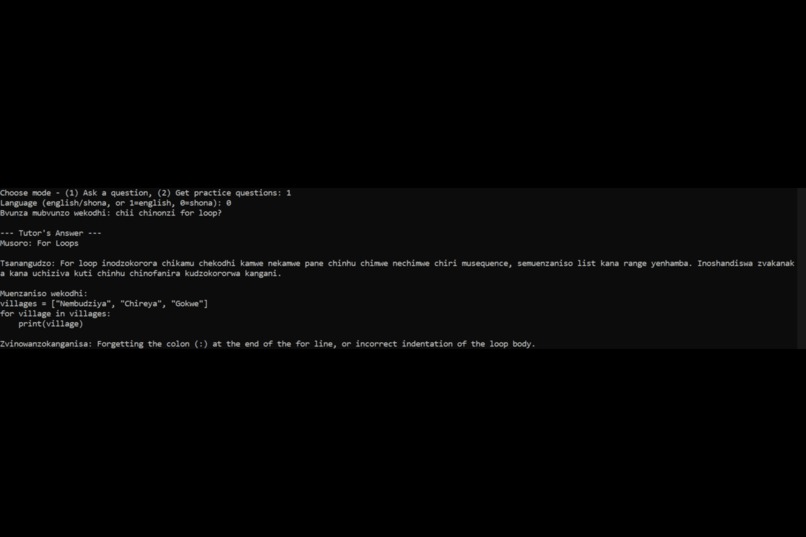 Offline Shona AI Coding Tutor – screenshot 8