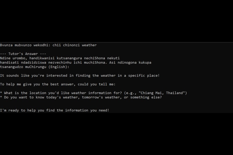 Offline Shona AI Coding Tutor – screenshot 10