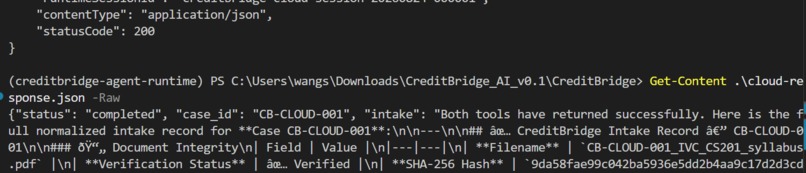 CreditBridge AI – screenshot 8