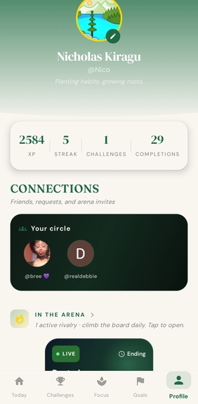 Verdly  – screenshot 6